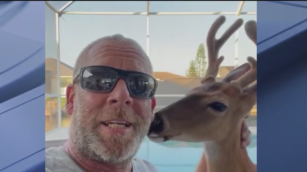 Man says pet deer was killed in cold blood